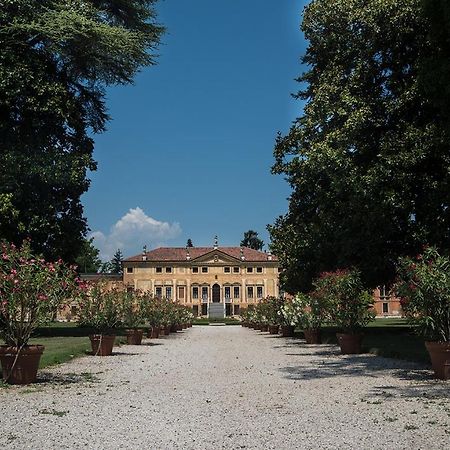 Villa Curti Sovizzo Bagian luar foto