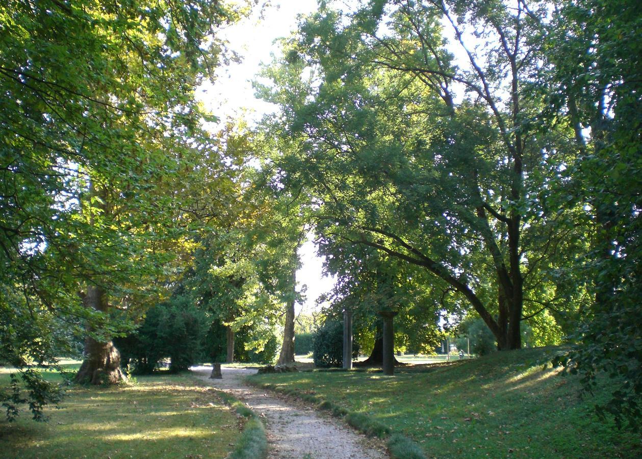 Villa Curti Sovizzo Bagian luar foto